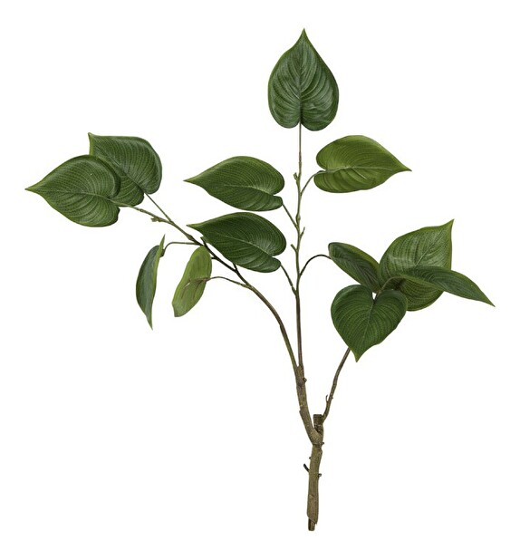 Vetvička Jolipa Raw Ethnic (zelená) 76cm 