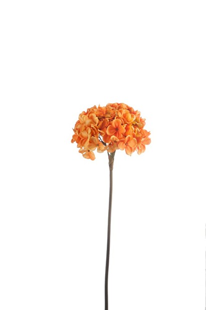 Kvetina Jolipa Hortenzia / Hydrangea (63x0x0cm) (Oranžová)