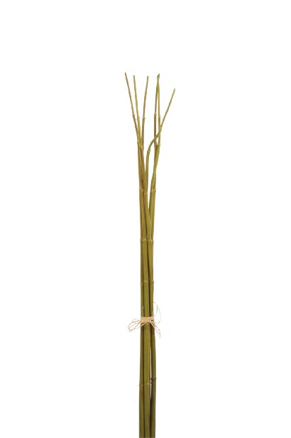 Kvetina Jolipa Vetvička (75x0x0cm) (Zelená)