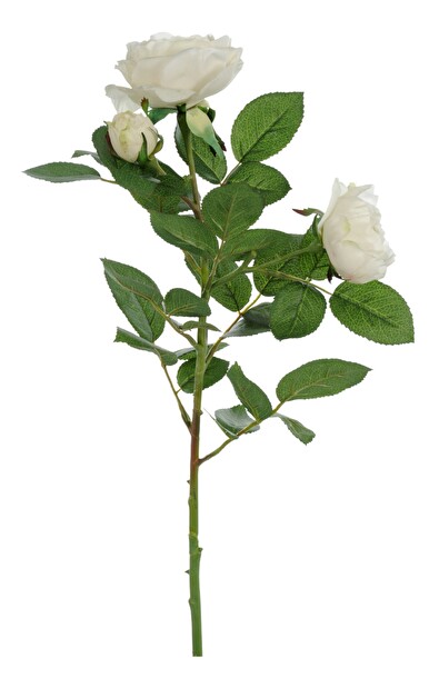 Kvetina Jolipa Ruža (73x0x0cm) (Biela)