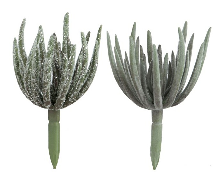 Kvetina Jolipa Mystical Mint (9x9x18cm) (Zelená) (2ks)