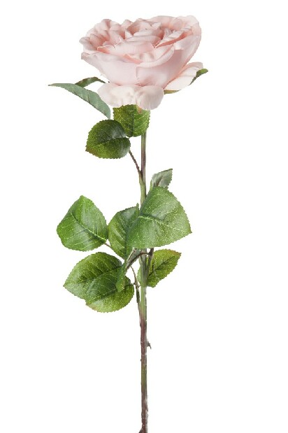Kvetina Jolipa Ruža (68x11x11cm) (Sivá)