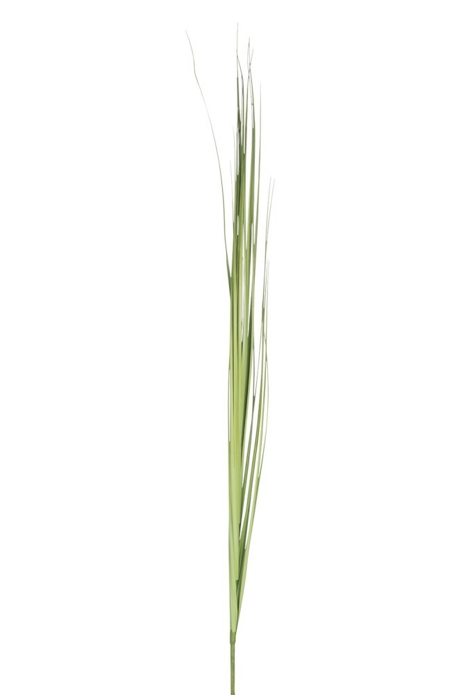 Kvetina Jolipa Tráva (10x10x157cm) (Zelená)
