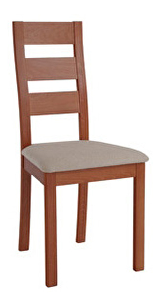 Jedálenská stolička BC-2603 TR2