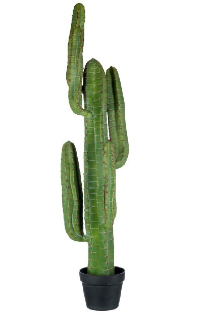Kvetina Jolipa Črepniková rastlina (31x31x114cm) (Zelená)