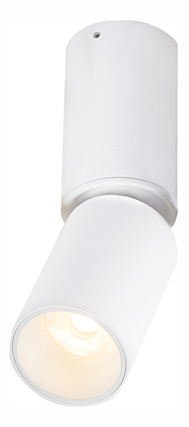 Podhľadové svietidlo Luwin 55000-8 (biela)