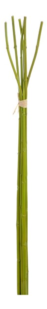 Kvetina Jolipa Vetvička (110x10x5cm) (Zelená)