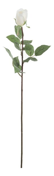 Kvetina Jolipa Ruža (13x13x74cm) (Biela)