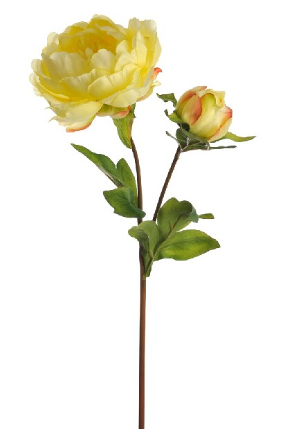 Kvetina Jolipa Ruža (48x0x0cm) (Žltá)
