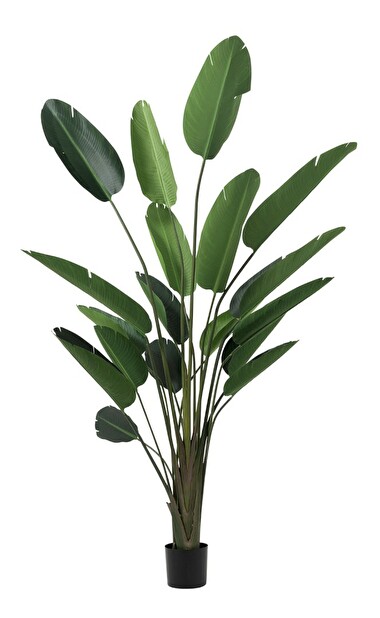 Kvetina Jolipa Skip Raw Ethnic (110x100x245cm) (Zelená)