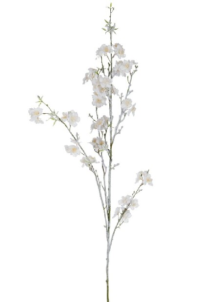 Kvetina Jolipa Vetvička (Biela)