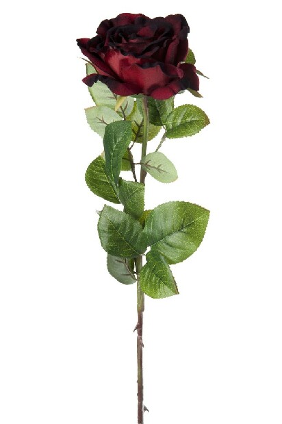 Kvetina Jolipa Ruža (68x11x11cm) (Červená)