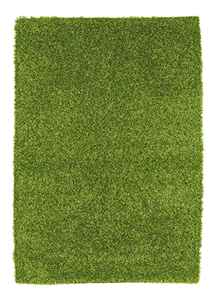 Ručne viazaný koberec Bakero Damru Fluorescent green 218