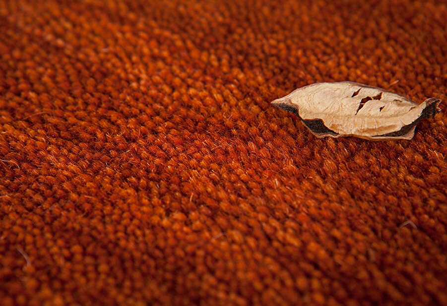 Ručne vyrobený koberec Prestige 650 Terra