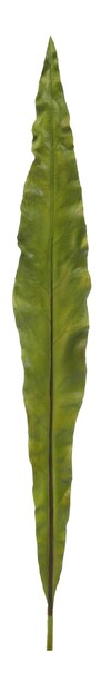 Kvetina Jolipa List (135x0x0cm) (Zelená)