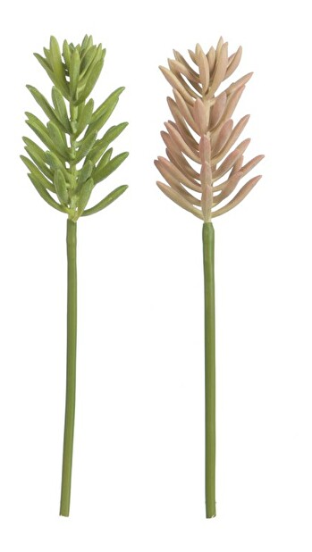 Kvetina Jolipa (5x5x29cm) (Zelená) (2ks)