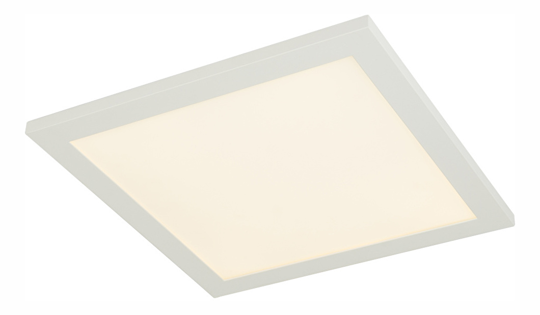 Stropné/nástenné svietidlo LED Rosi 41604D1 (biela + opál)