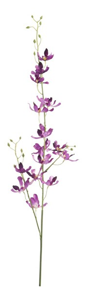 Kvetina Jolipa Orchidea (1x1x96cm) (Fialová)