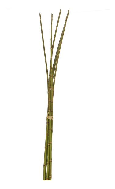 Kvetina Jolipa Vetvička (L) (Zelená)