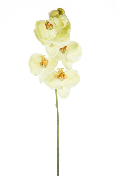 Kvetina Jolipa Orchidea (11x7x84cm) (Žltá)