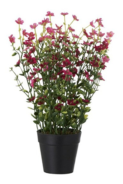 Kvetina Jolipa (10x10x36cm) (Fuchsia)