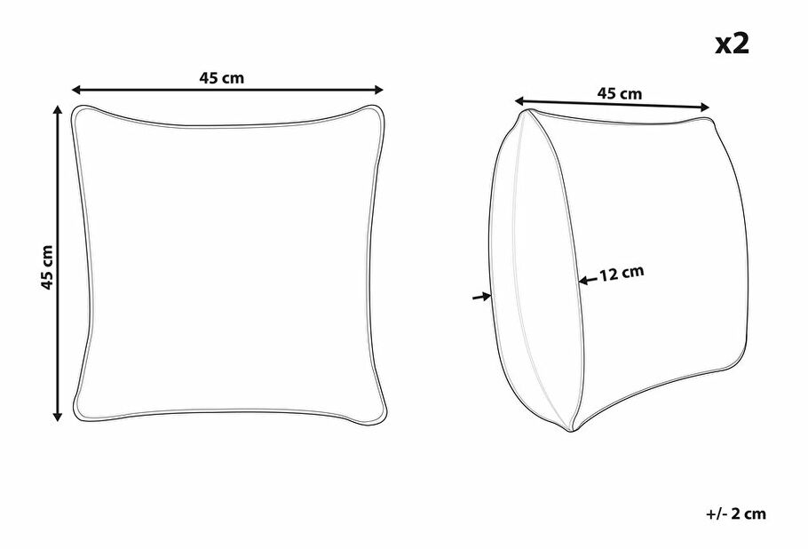 Set 2 ks. vankúšov 45 x 45 cm FREDO (polyester) (biela)