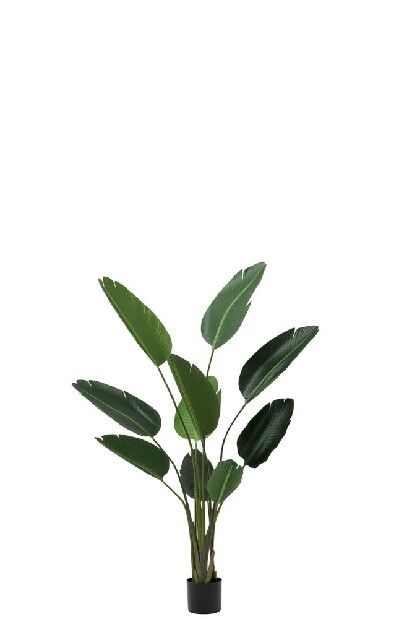 Kvetina Jolipa Skip Raw Ethnic (72x60x150cm) (Zelená)