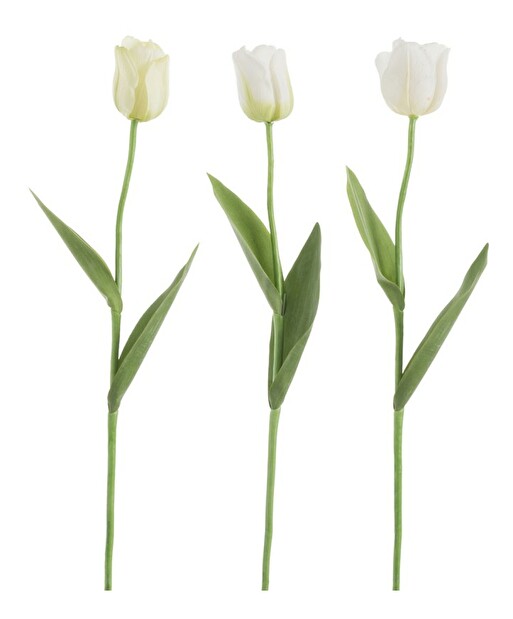 Kvetina Jolipa Tulipán (7x7x67cm) (Biela) (3ks)