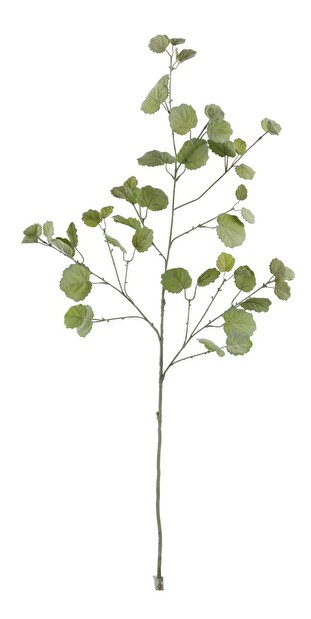 Vetvička Jolipa (zelená) 124cm 