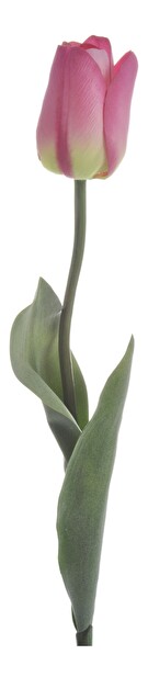 Kvetina Jolipa Tulipán (67x0x0cm) (Fuchsia)
