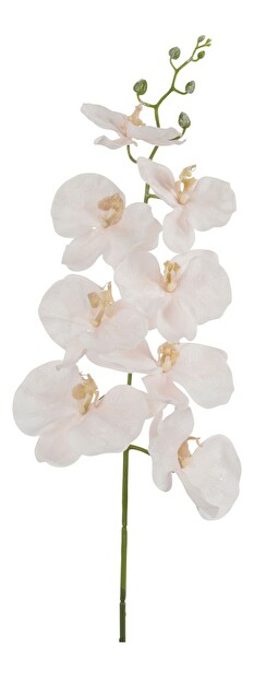 Kvetina Jolipa Orchidea (84x0x0cm) (Fuchsia)