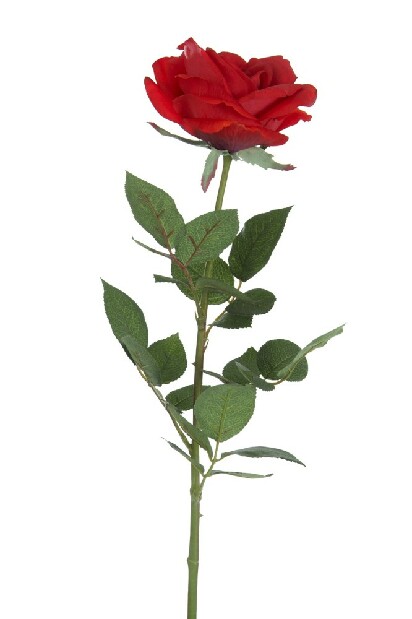 Kvetina Jolipa Ruža (84x0x0cm) (Červená)