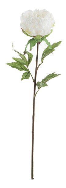 Kvetina Jolipa Ruža (15x15x78cm) (Biela)