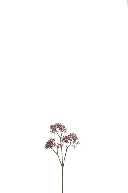 Kvetina Jolipa Vetvička (10x10x30cm) (Červená)