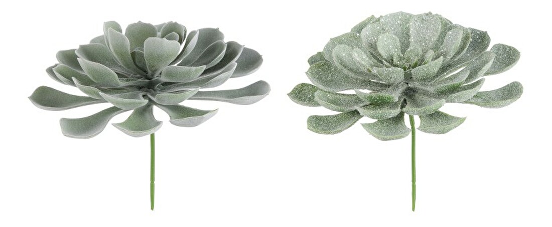 Kvetina Jolipa Mystical Mint (24x0x0cm) (Zelená) (2ks)
