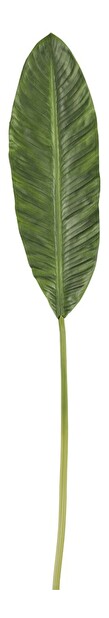 Vetvička Jolipa Raw Ethnic (zelená) 104cm 