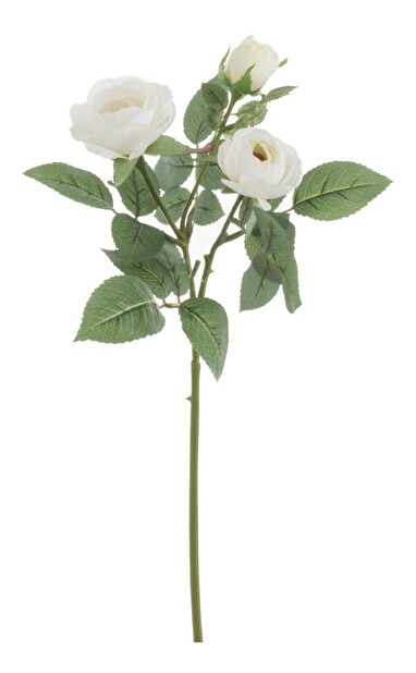 Kvetina Jolipa Ruža (12x12x43cm) (Biela)