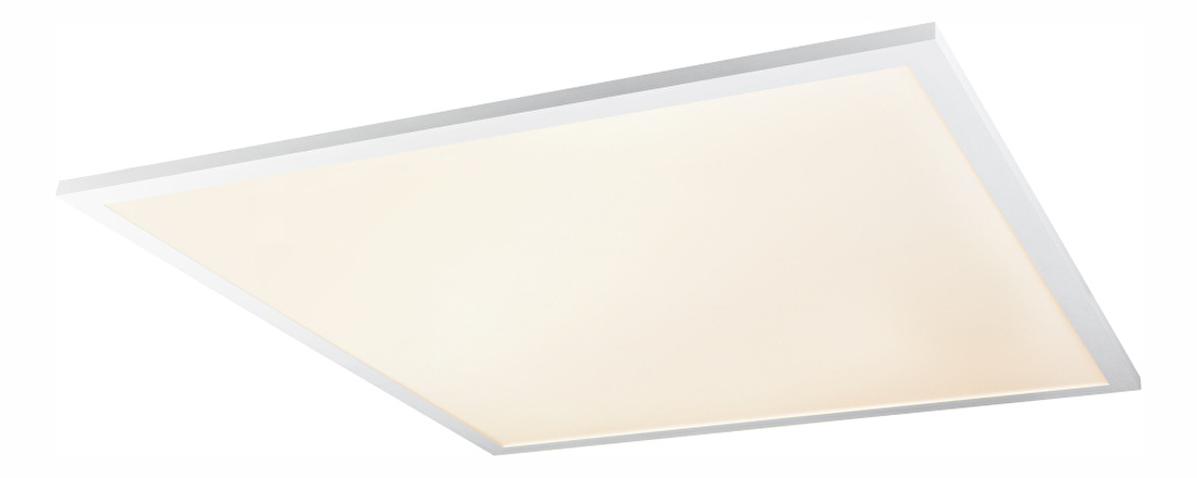 Stropné/nástenné svietidlo LED Rosi 41604D6RGB (biela + opál) (Stmievateľné)