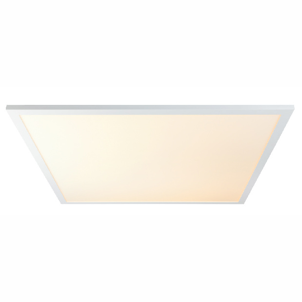 Stropné/nástenné svietidlo LED Rosi 41604D6 (biela + opál)