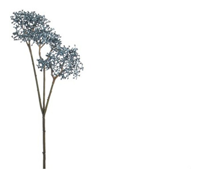 Kvetina Jolipa Vetvička Goldy Blue (10x10x30cm) (Modrá)