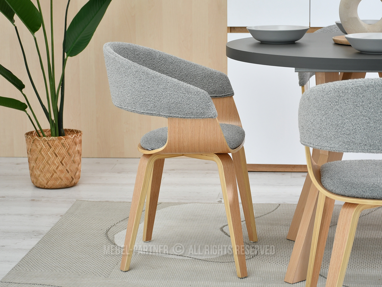 Stolička Renzo (sivá + dub) *výpredaj