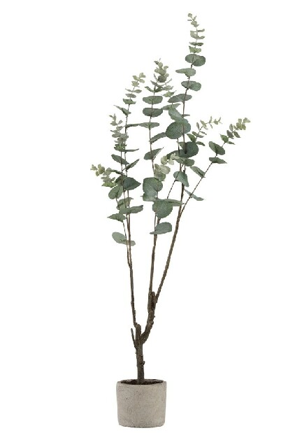 Vetvička Jolipa Caribbean Treasure (zelená) 89cm 