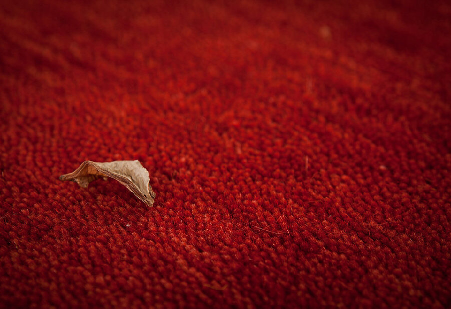 Ručne vyrobený koberec Prestige 650 Red