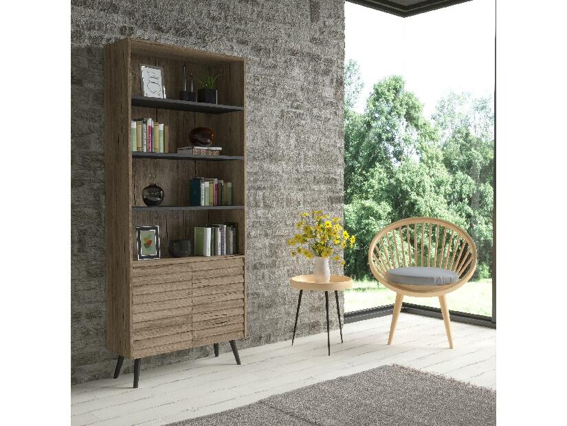 Knižnica Asir Ferre 09