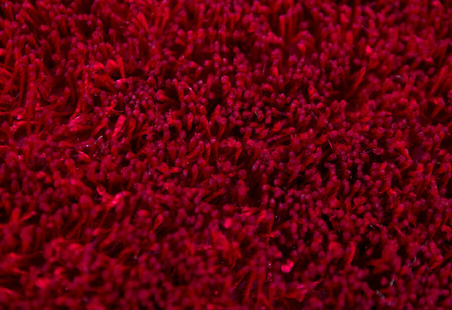 Ručne všívaný koberec Focus 250 Red